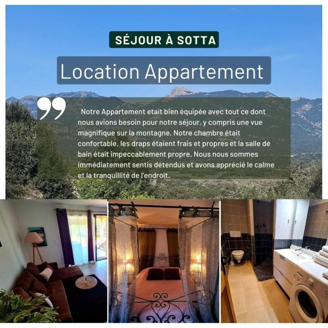 Appartement Caroline Сотта Екстер'єр фото
